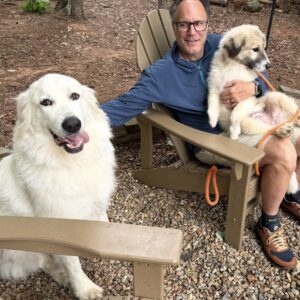 Great Pyrenees foster family
